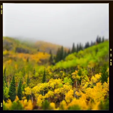 Scenic photograph 14